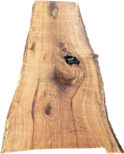 Red Oak Slab #4