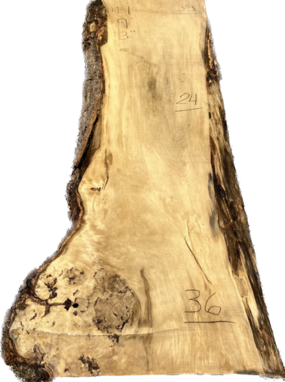 CottonWood #2
