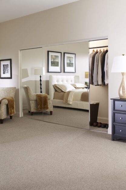 Style Lite® Closet Door