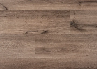 Autumn Accent | Lions Floor